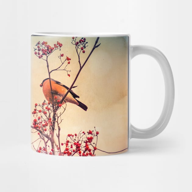 Bullfinch eat rowan by AnnArtshock